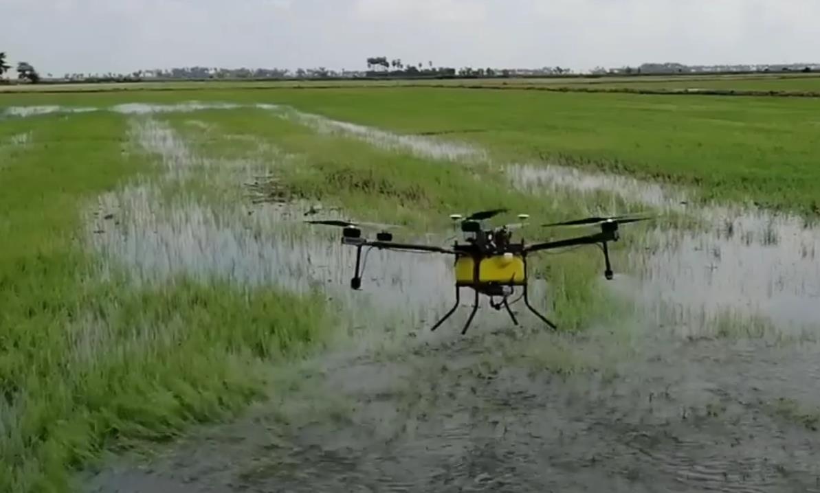 Paddy spraying by sprayer drone in Southeast Asia-drone agriculture sprayer, agriculture drone sprayer, sprayer drone, UAV crop duster