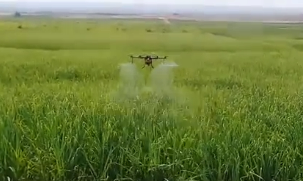 Drone spraying video taken by Peru customer-drone agriculture sprayer, agriculture drone sprayer, sprayer drone, UAV crop duster