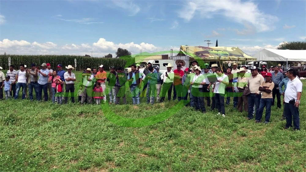 JOYANCE UAV crop duster demo at Mexico event-drone agriculture sprayer, agriculture drone sprayer, sprayer drone, UAV crop duster