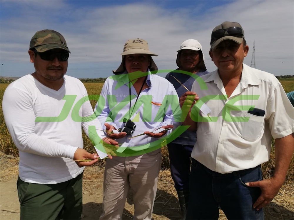 Peru customers appreciate perfect spraying effect of JOYANCE agricultural use drone-drone agriculture sprayer, agriculture drone sprayer, sprayer drone, UAV crop duster
