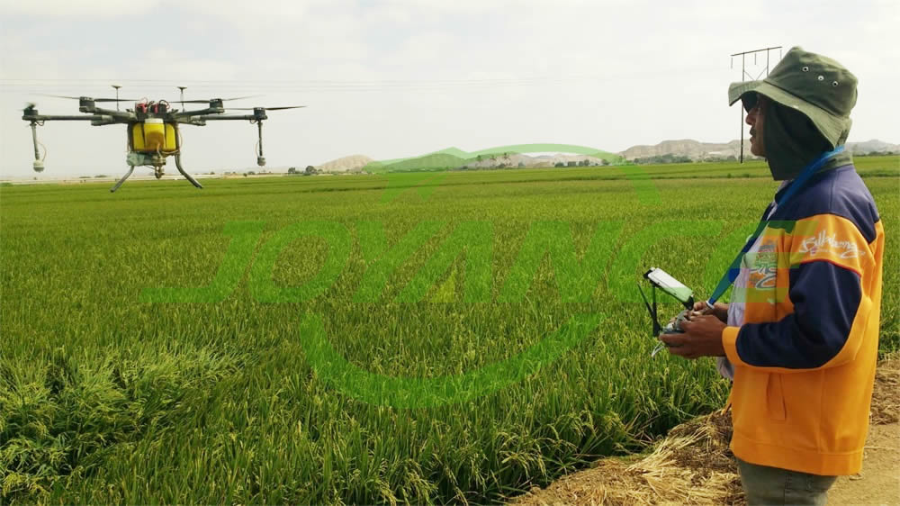 Peru customer of drone sprayer is spraying paddy-drone agriculture sprayer, agriculture drone sprayer, sprayer drone, UAV crop duster