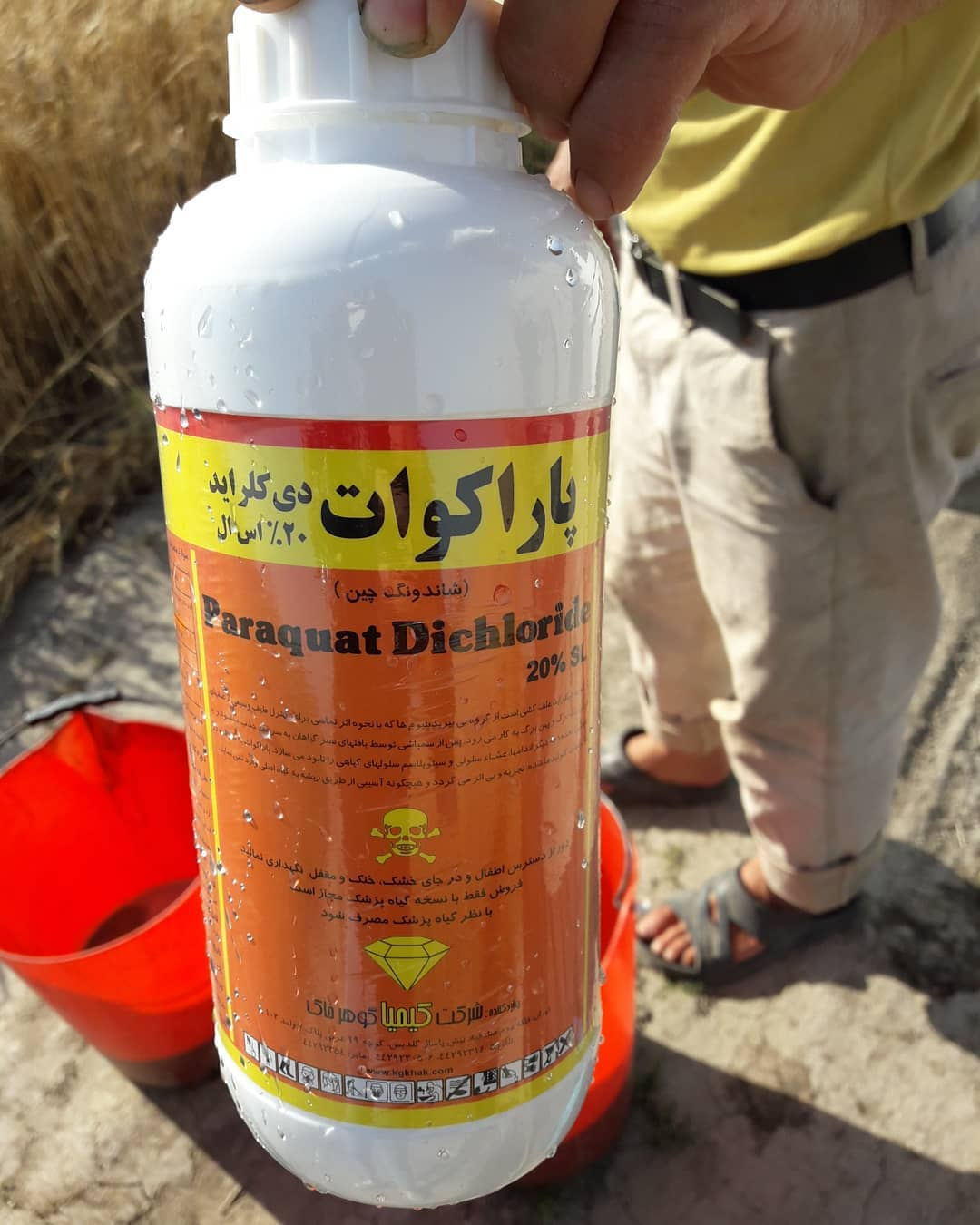 Paraquat (herbicide) is used to dry and kill weeds in Iran-drone agriculture sprayer, agriculture drone sprayer, sprayer drone, UAV crop duster